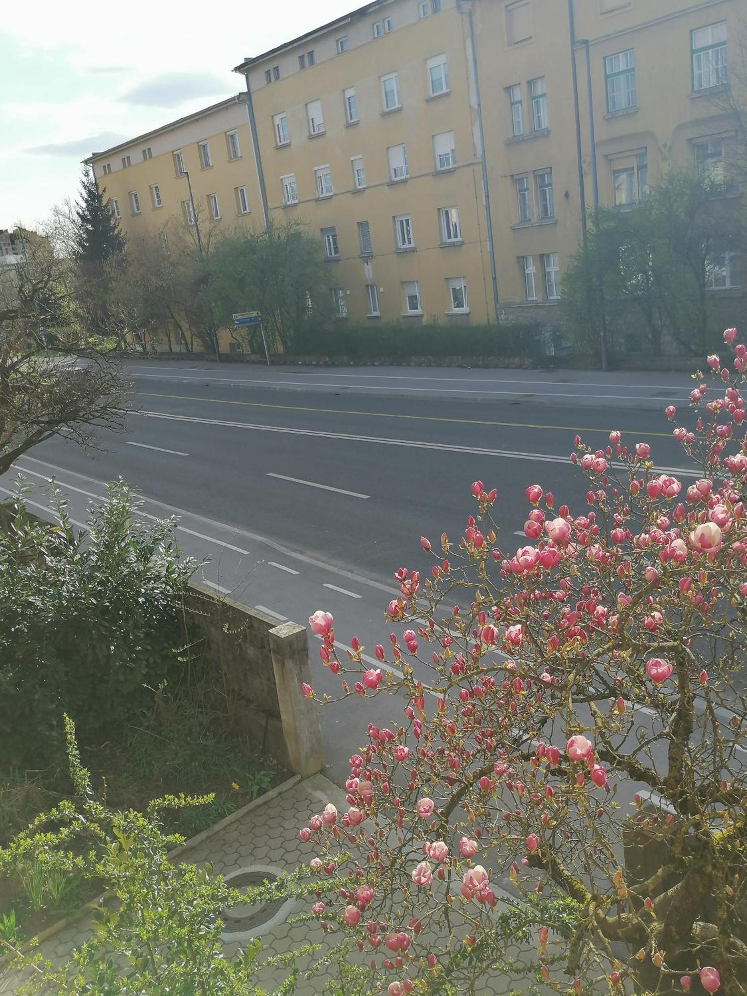 Pirc Apartment On Dunajska Street ليوبليانا المظهر الخارجي الصورة